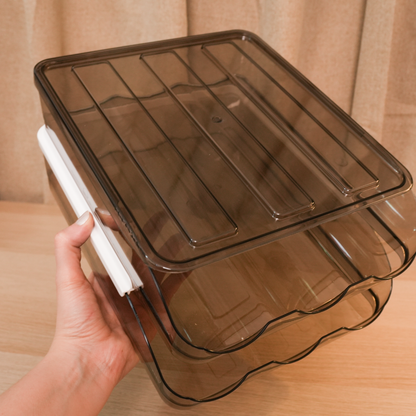 Organizador de huevos 2 niveles